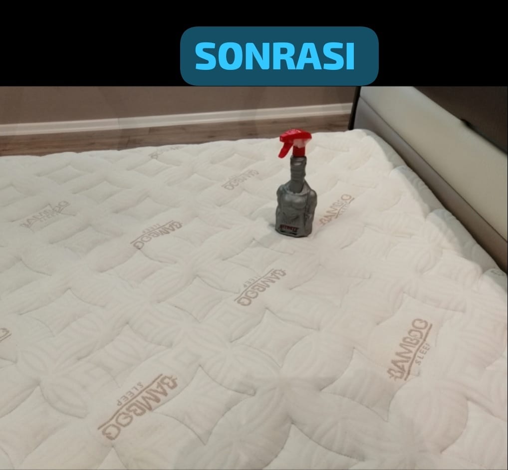 Kemer Koltuk Yıkama